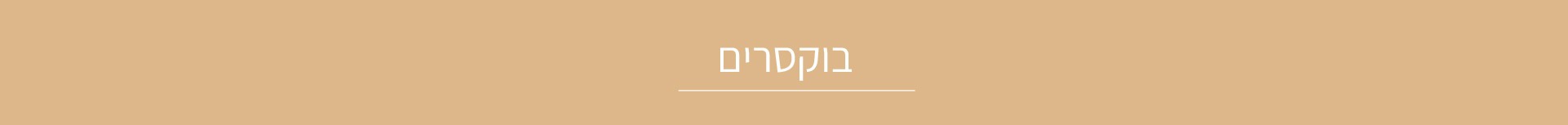 CATEGORY-BANNER-22.jpg